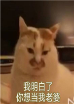 �����������뵱�����ű����ͼƬ