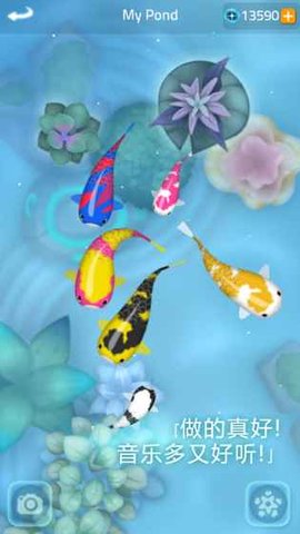 Zen Koi 2(鲤鱼禅2Zen Koi2安卓版)截图2