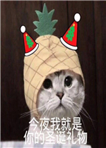 ���������ֱ����ͼƬ