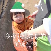 ��ҹ�Ҿ������ʥ������ͼƬ��ͼ1