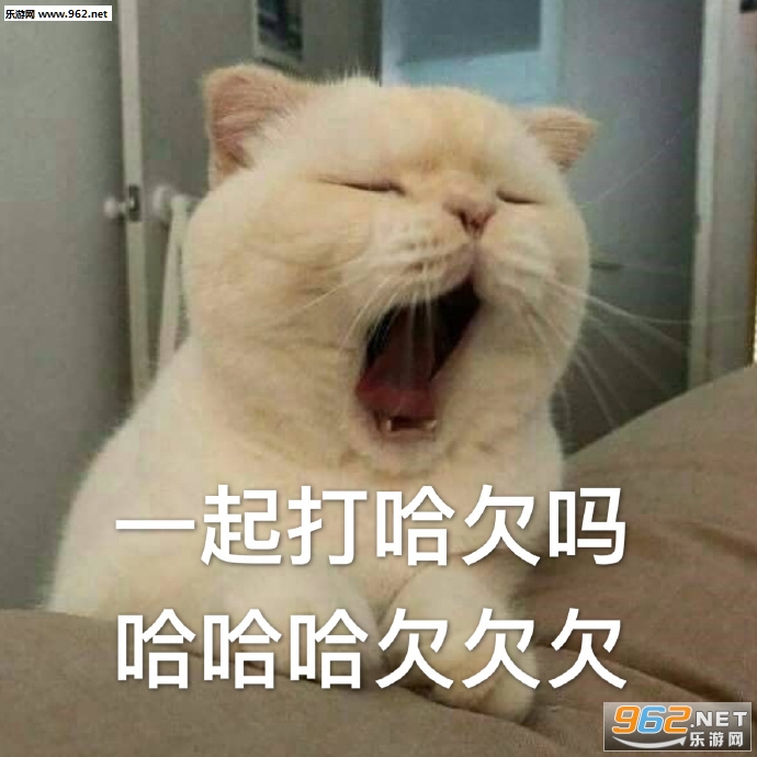 �������˱����ͼƬ��ͼ0