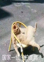 ����һ��������������