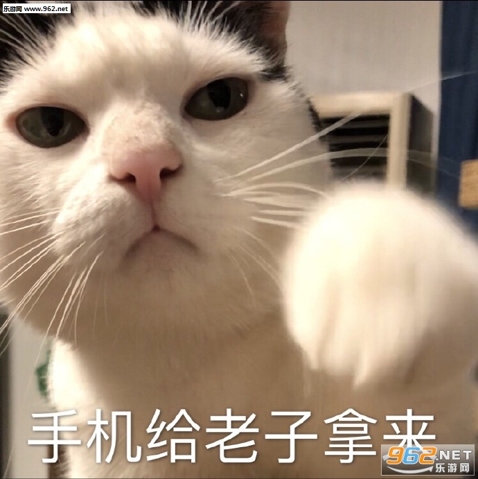 �������о�����ͷ�����ͼƬ��ͼ6