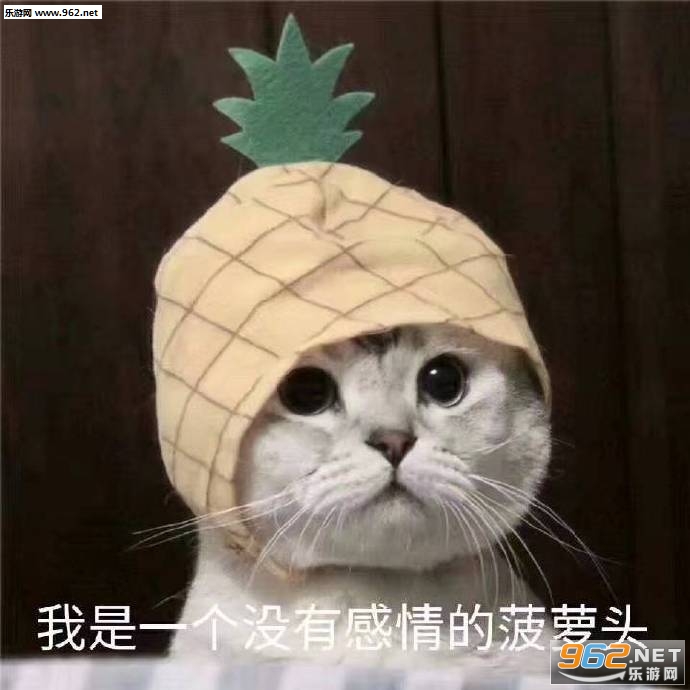 ����һ��û�и���Ĳ���ͷ�������ͼ3