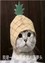 ����һ��û�и���Ĳ���ͷ�����