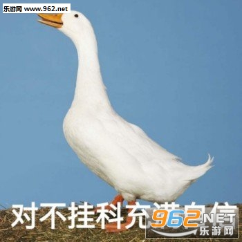 �Ҳ����Ļ������ı������ͼ4