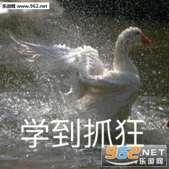 �Ҳ����Ļ������ı������ͼ2