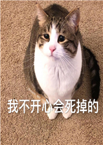 �Ҳ����Ļ������ı����