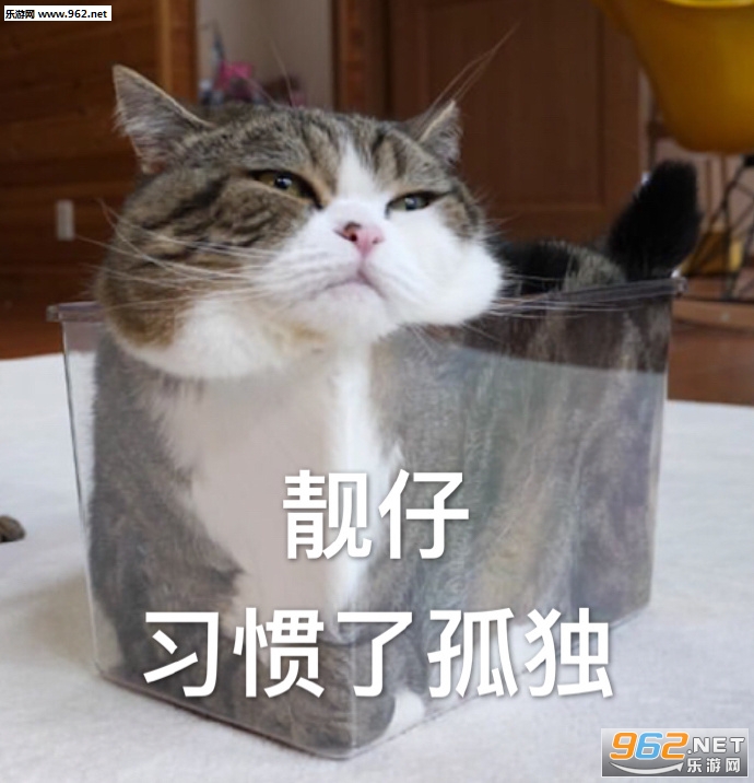 �Ҳ����Ļ������ı������ͼ8
