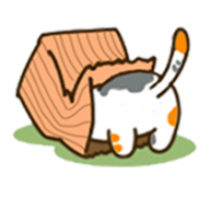 my cat��׿��