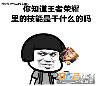 王者荣耀技能表白表情包截图0