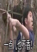 һ���Ҳ��������