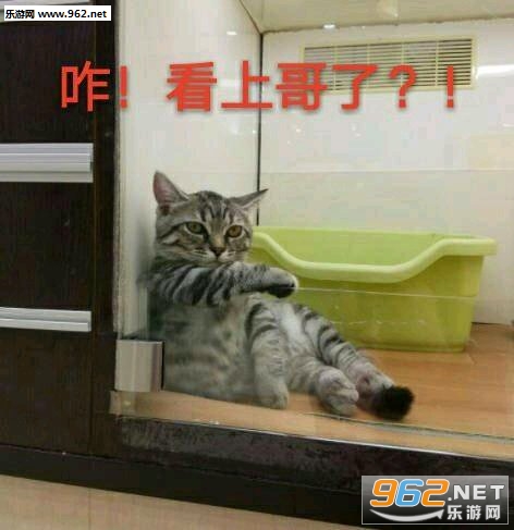 ���鲻�ô��˱����ͼƬ��ͼ2