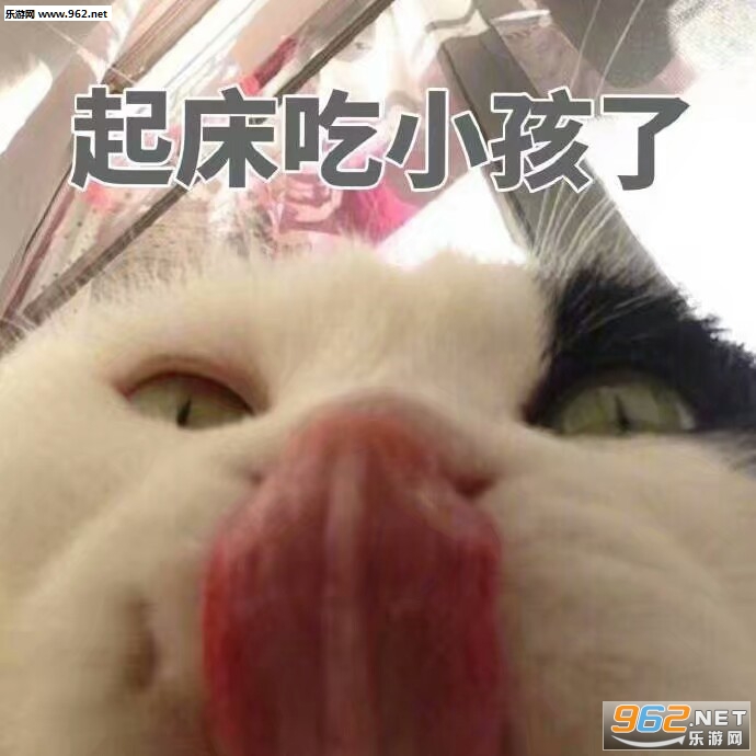 ���鲻�ô��˱����ͼƬ��ͼ9