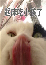 ���鲻�ô��˱����ͼƬ