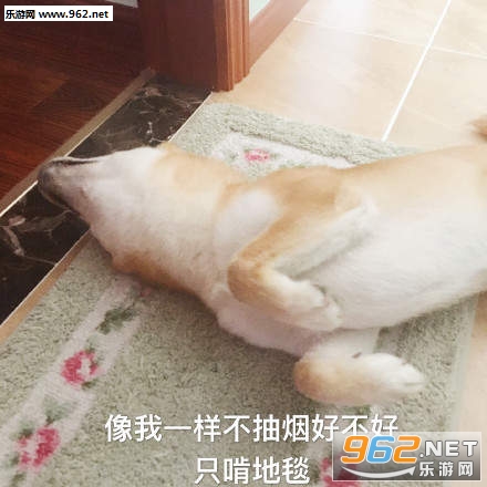 高校禁烟表情包无水印版截图0