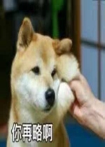 һ�������±����