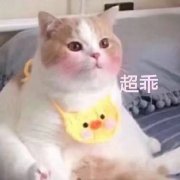 ���ڳԴױ������ͼ2