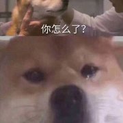 ��������ԭͼ��ͼ3
