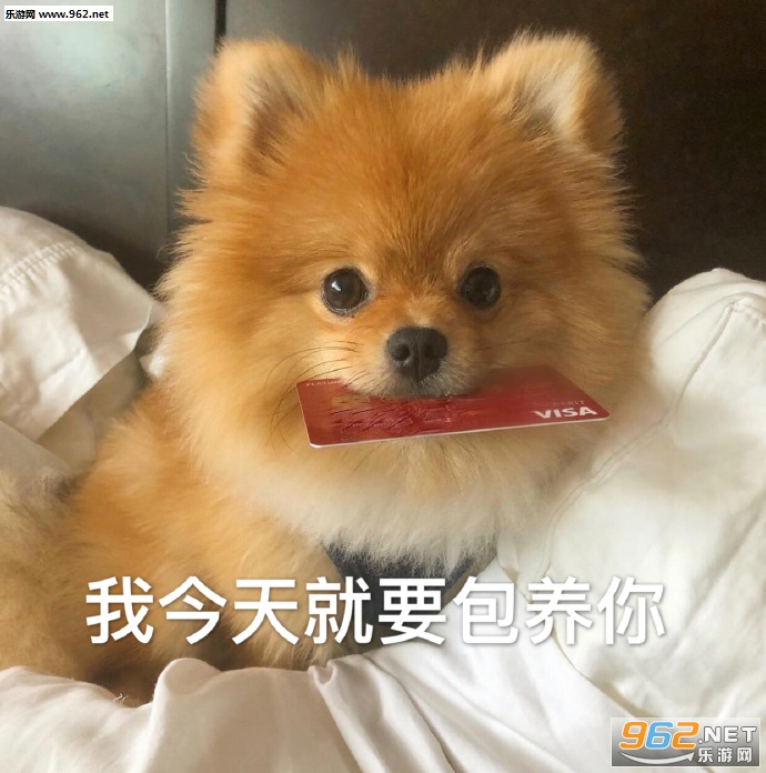 �ŵ�С�����Ծ������ܻ������˱����ͼƬ��ͼ1