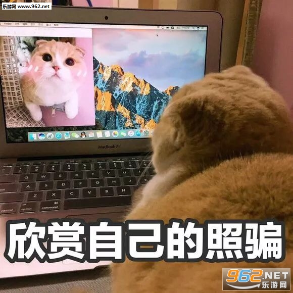 ���Ӹ���������ͼ5