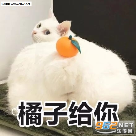 ���Ӹ���������ͼ7