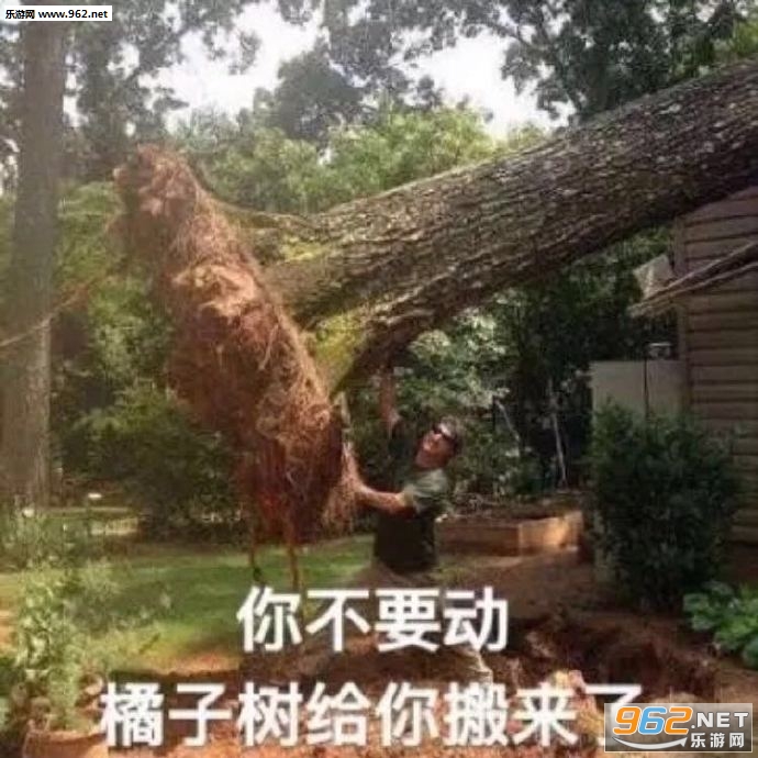 生活我表情包截图1