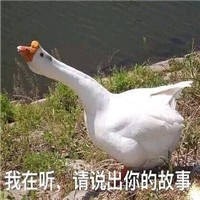 生活我表情包截图3