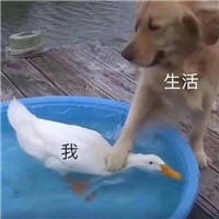 生活我表情包截图2