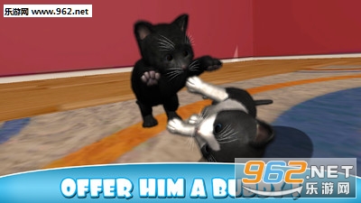 �������è��׿���ͼ4