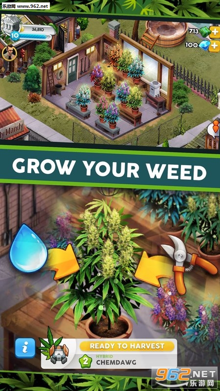 Hempire(�Ӳݳɳ����ΰ�׿��)��ͼ0