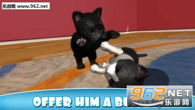 �������è�ٷ����ͼ4