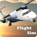 Flight Sim(ģ��������ΰ�׿��)