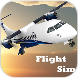 ģ�����Flight Sim��׿��