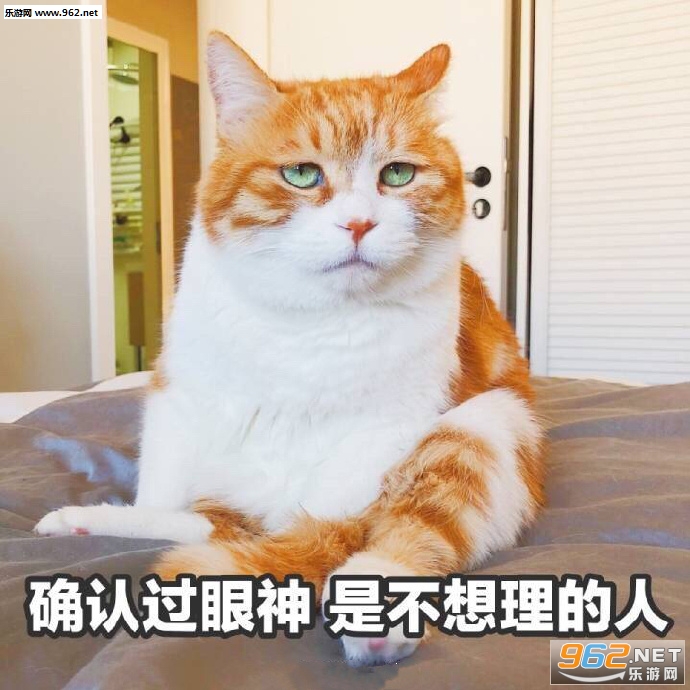 ����Ʊ����ͼƬ��ͼ8