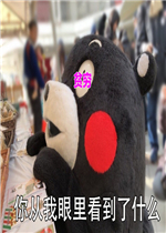 ƶ���������ҵĿ��������