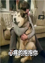 ����ͷ�������