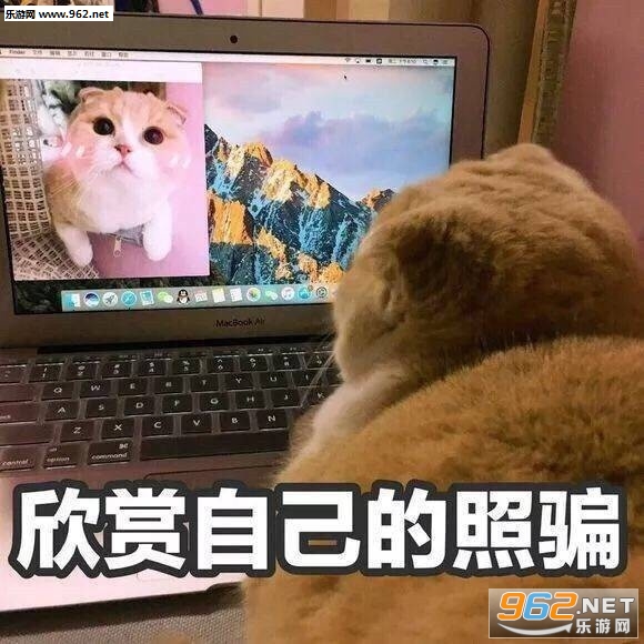 偶像行为请勿上升粉丝表情包图片截图3