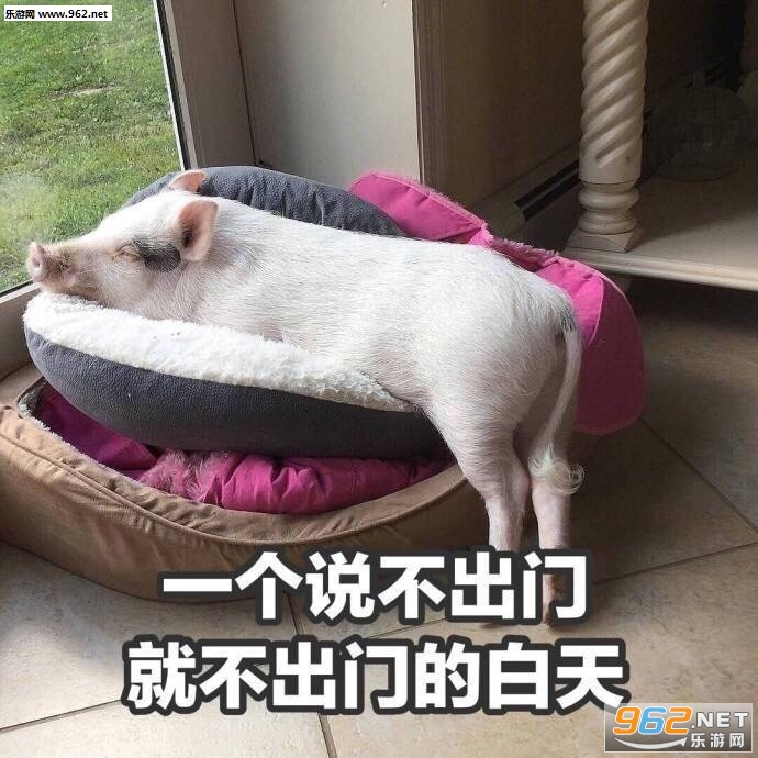 �żٵ��������ϵ�б������ͼ1