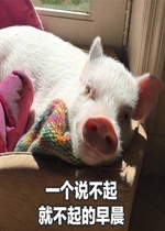 �żٵ��������ϵ�б����