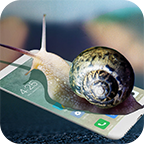 ��ţ������app