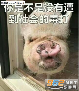 �Լ��˱�ǹ�������ͼ0