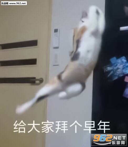 �Լ��˱�ǹ�������ͼ5
