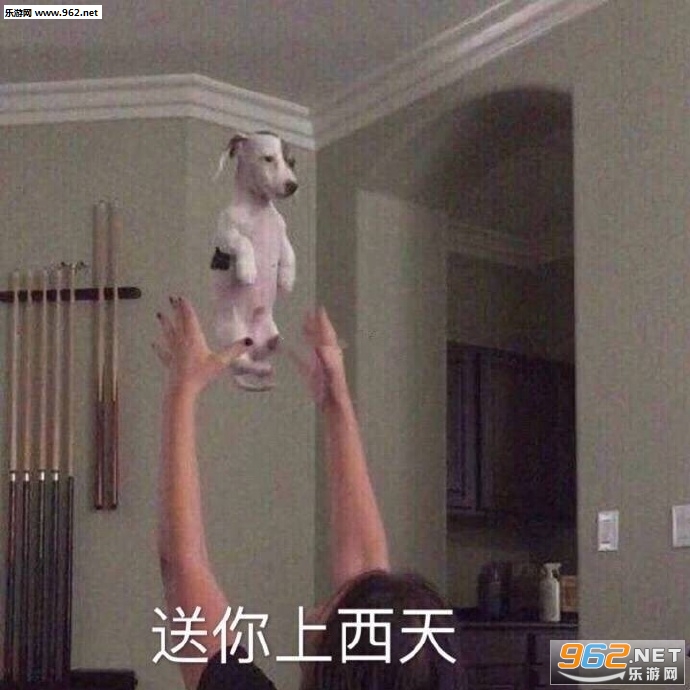 �Լ��˱�ǹ�������ͼ6