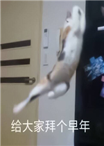 �Լ��˱�ǹ�����
