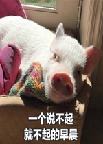 �ż��ڼҵ��ұ����