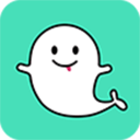 ����APP