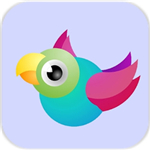 Bouncy Birds(������������)