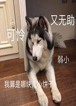 ȷ�Ϲ������ǲ��������˱����