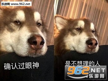 ȷ�Ϲ������ǲ��������˱������ͼ0